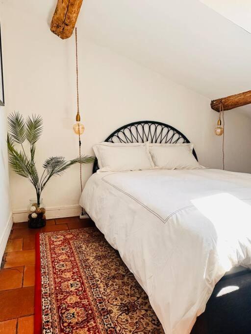 Your Getaway Home In Toulouse Center Exteriör bild
